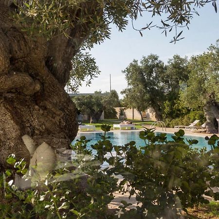 Masseria Torre Del Diamante 토레깐느 외부 사진