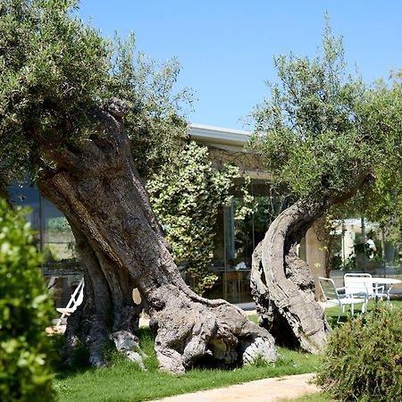 Masseria Torre Del Diamante 토레깐느 외부 사진