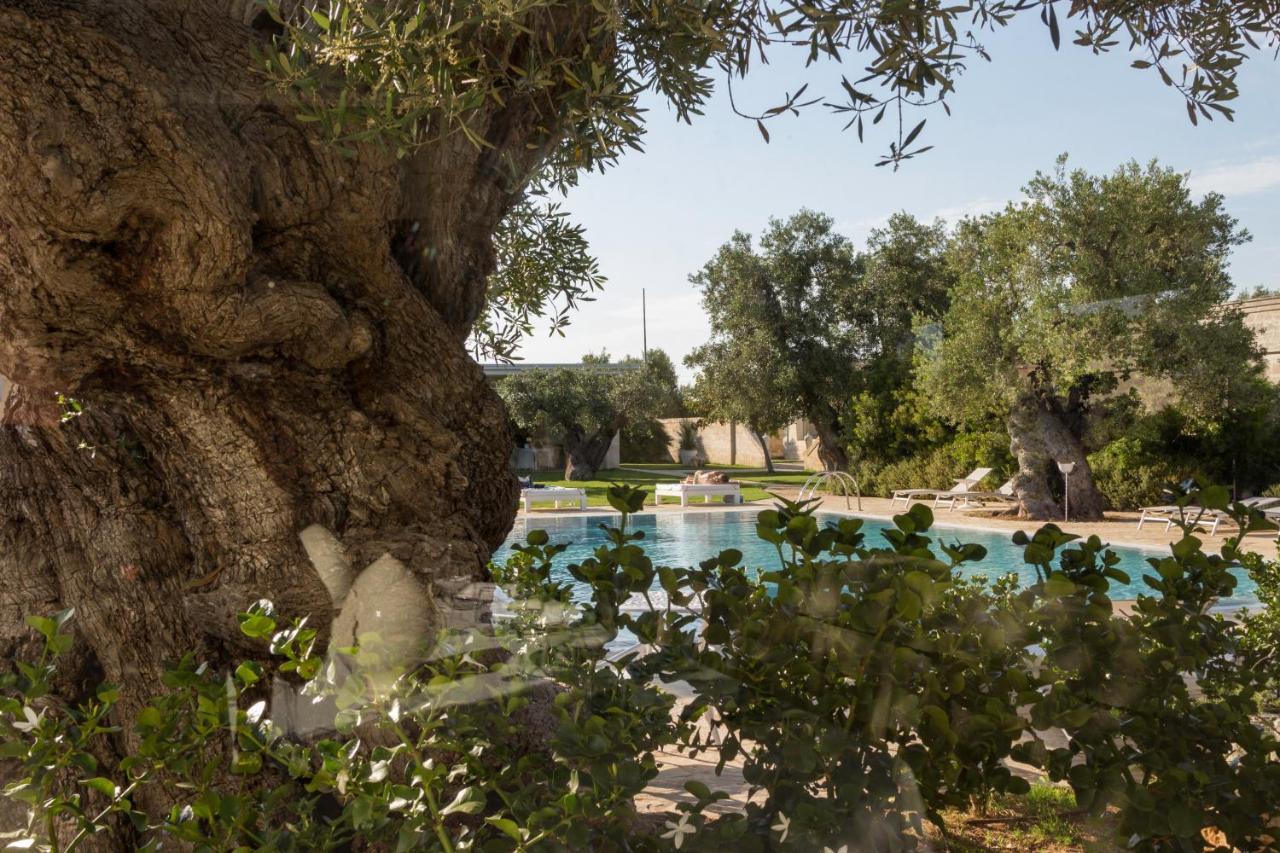 Masseria Torre Del Diamante 토레깐느 외부 사진