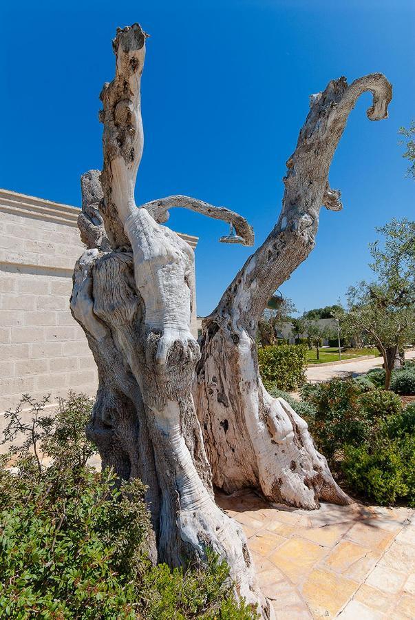 Masseria Torre Del Diamante 토레깐느 외부 사진